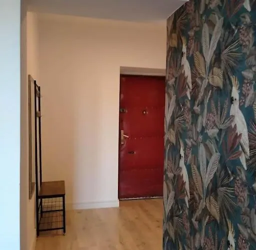 Tek Yatak Odalı Daire